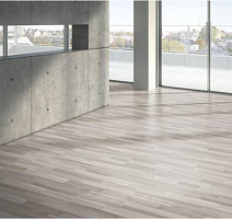 Parador Basic Plus 200 1426414 Акация Серая фото 3 | FLOORDEALER